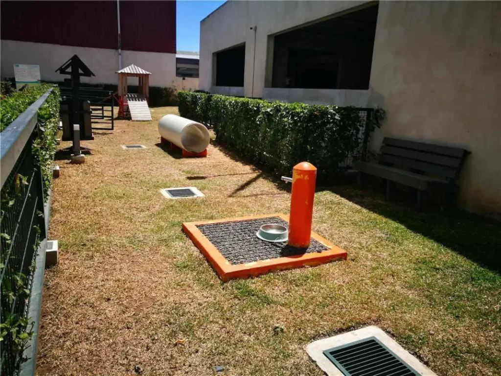 Apartamento San José