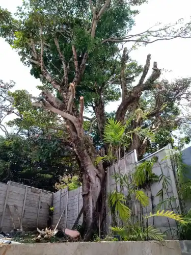 Casa en San Rafael de Heredia